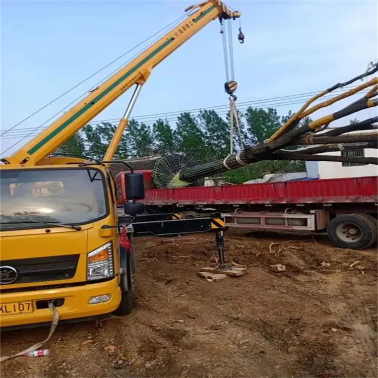 鄂州100吨吊车租赁费用怎么算？3大关键因素+省钱技巧全解析